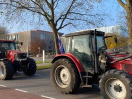 Fryske boeren protestearje ek tsjin twangsommen by provinsjehûs yn Zwolle
