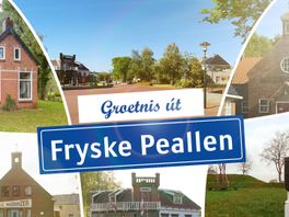 'Simmer yn Fryslân': op de wyngerd yn Fryske Peallen