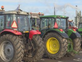 Liveblog: Boeren blijven weg bij Rotterdam The Hague Airport, LTO hoopt op ruimte voor bemiddeling