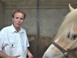 Expeditie Oost: is paardenmelk een wondermiddel?