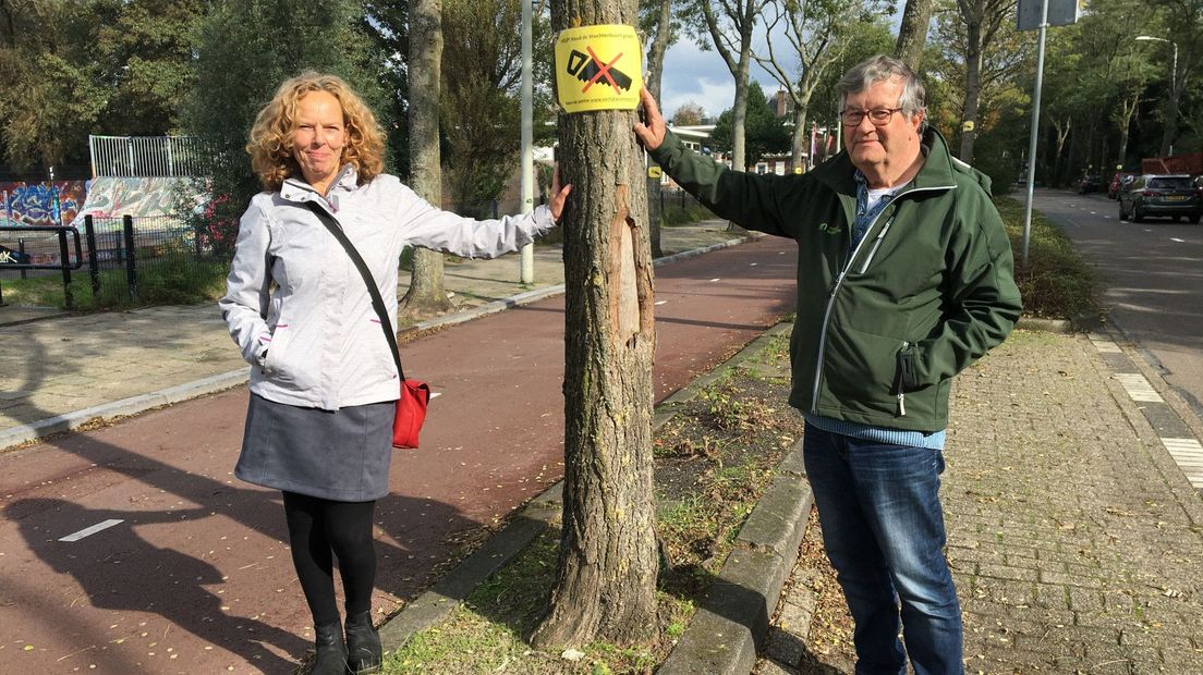 Omwonenden van de Haagse Mient voeren actie voor behoud van de bomen