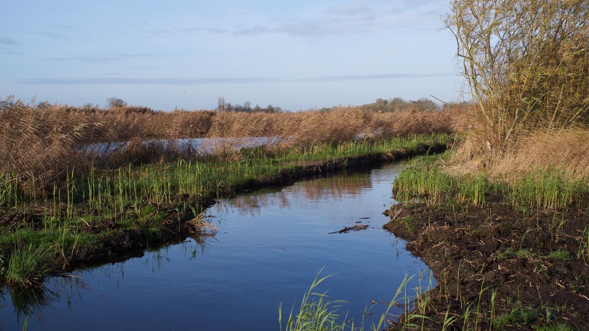 Geschil over natuurvriendelijke walkant bij Eastermar