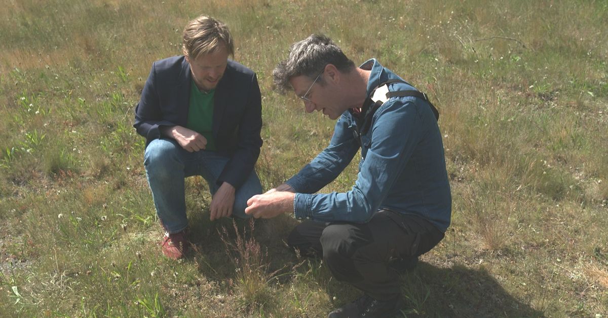 Dirk Schreef Over Saaie Veluwe En Nu Woont Hij Er Omroep Gelderland 2506