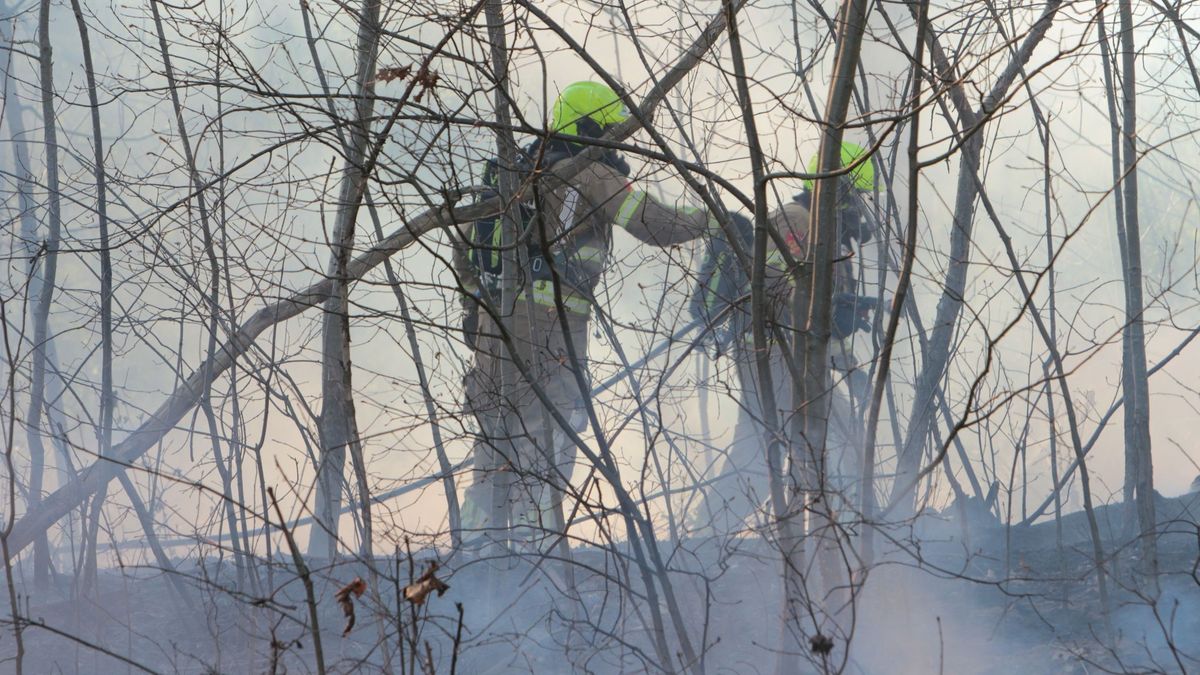 Brandweer heeft handen vol aan natuurbranden