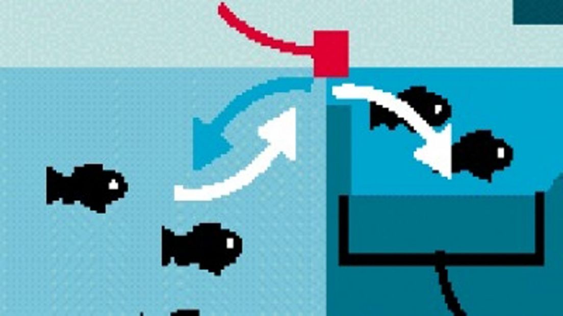 Bij vijf sluizen en stuwen komen vispassages