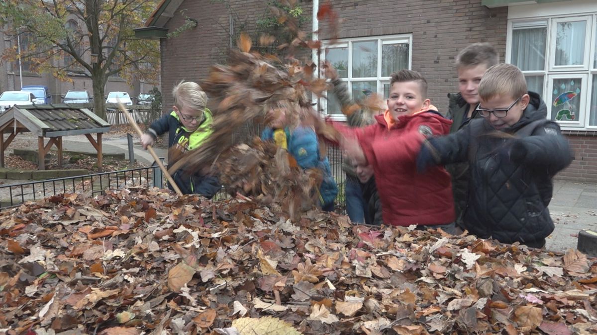 Deventer bladwedstrijd: scholieren maken Lettele bladvrij voor breekbare ouderen