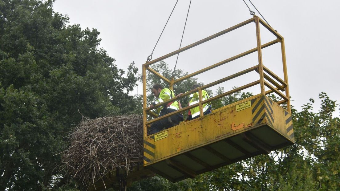 Het nest wordt leeggehaald (Rechten: Persbureau Meter)