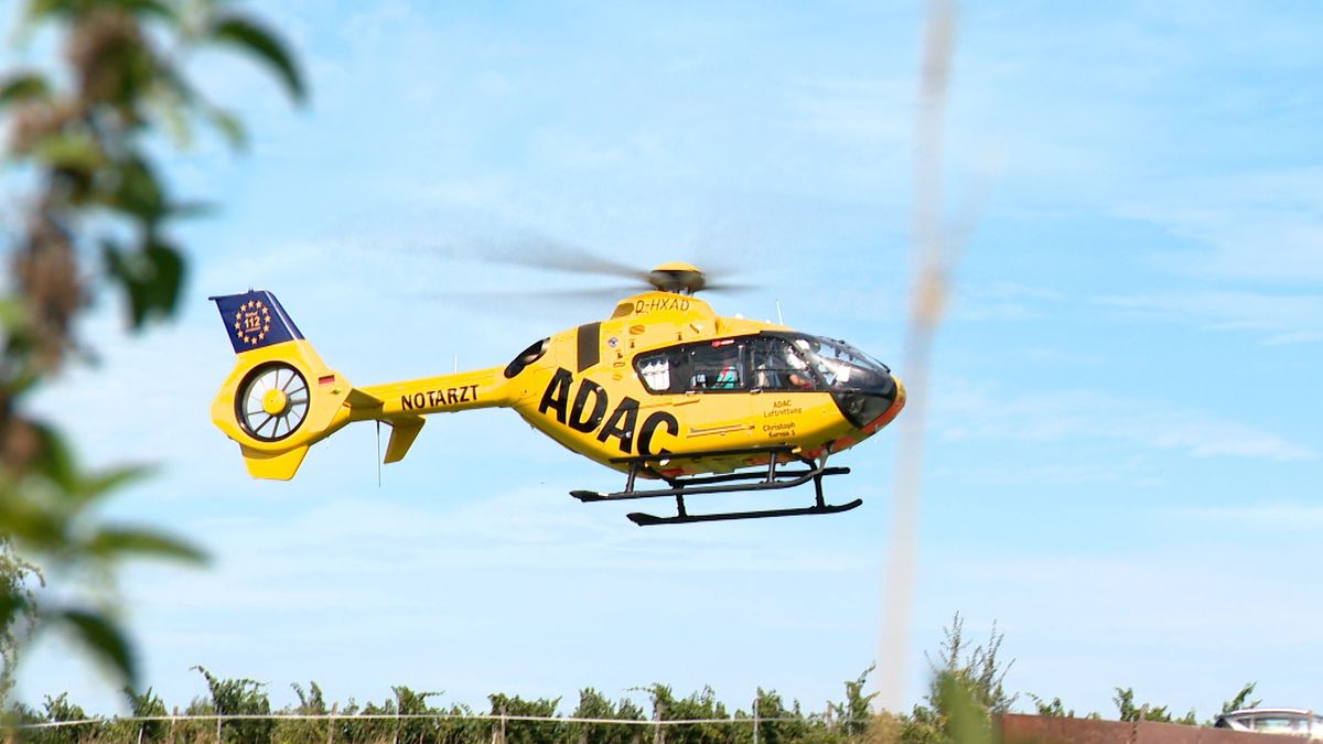 Vrouw valt van paard: traumahelikopter ter plekke