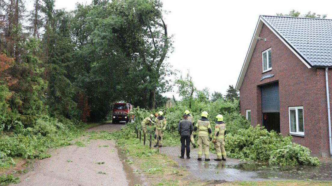 Een omgevallen boom tijdens de storm in juli 2023.