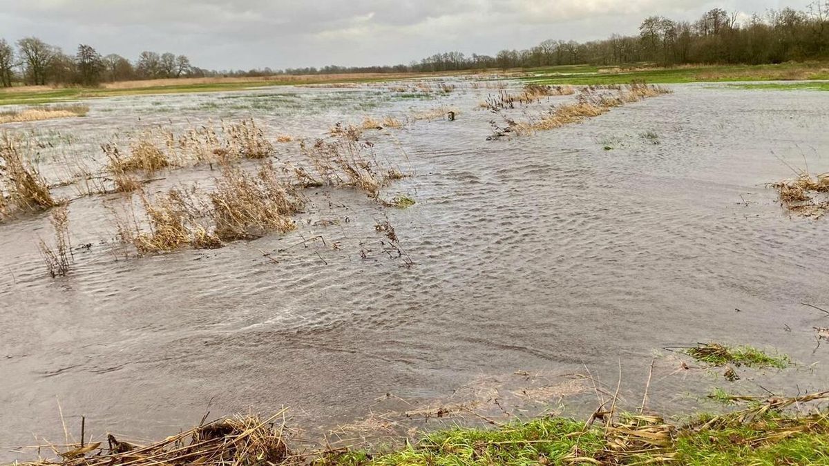 Top News in Drenthe: Avebe starch factory’s record year, new LTO Noord counselor, Groningen Airport Eelde saved, and more