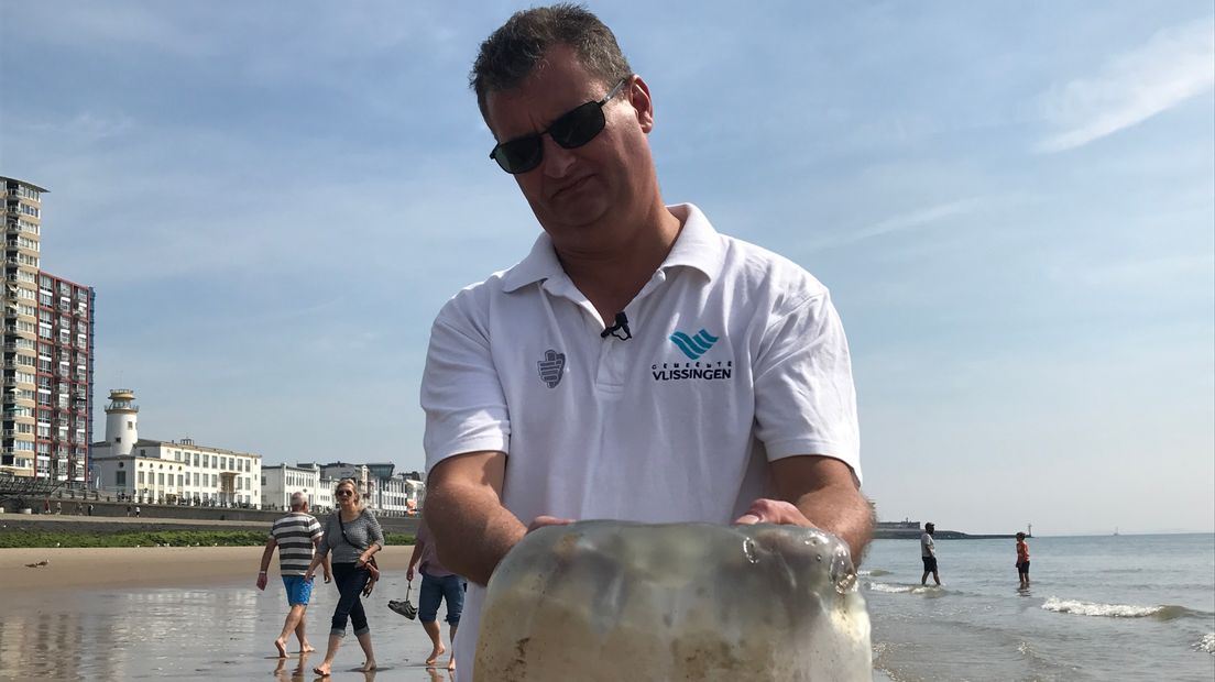 Albert Dijkstra houdt een zeepaddenstoel vast