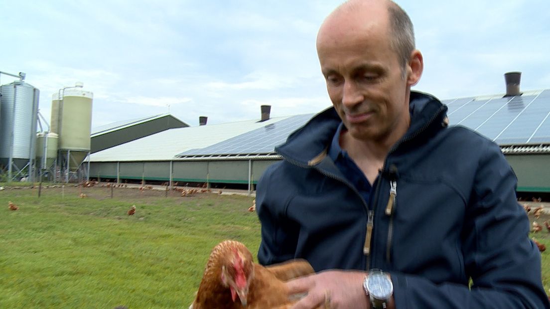 'Verschrikkelijk om op zo'n manier afscheid van je kippen te moeten nemen'