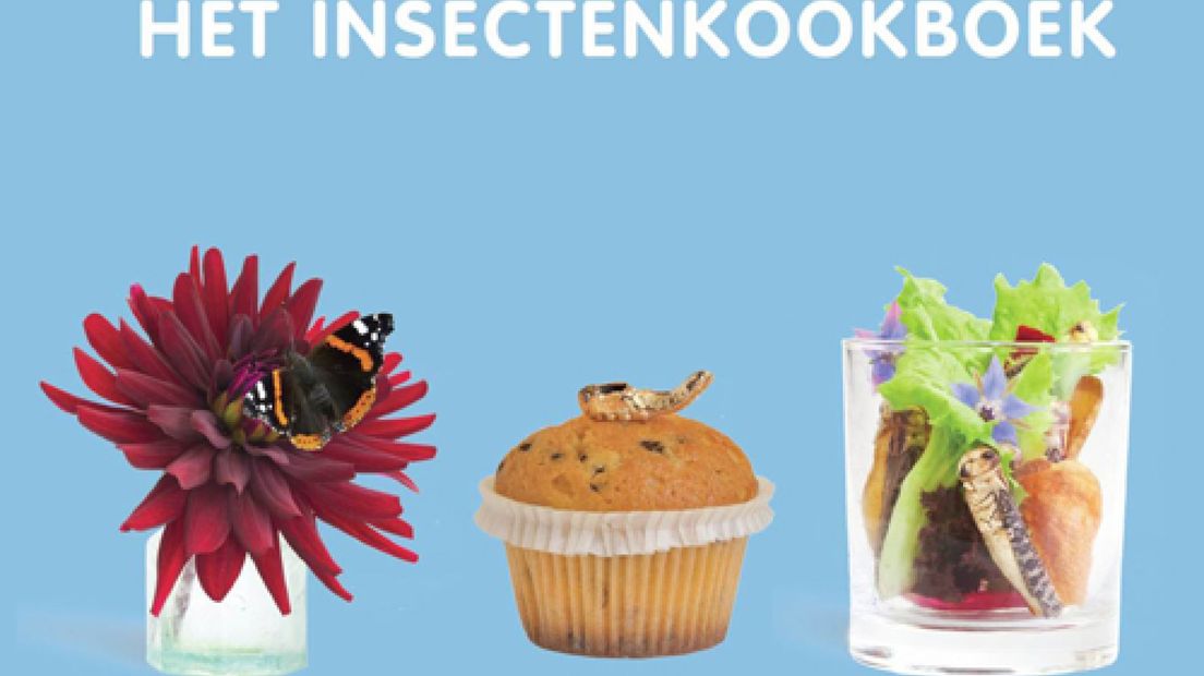 Insectenkookboek voor prinses Máxima