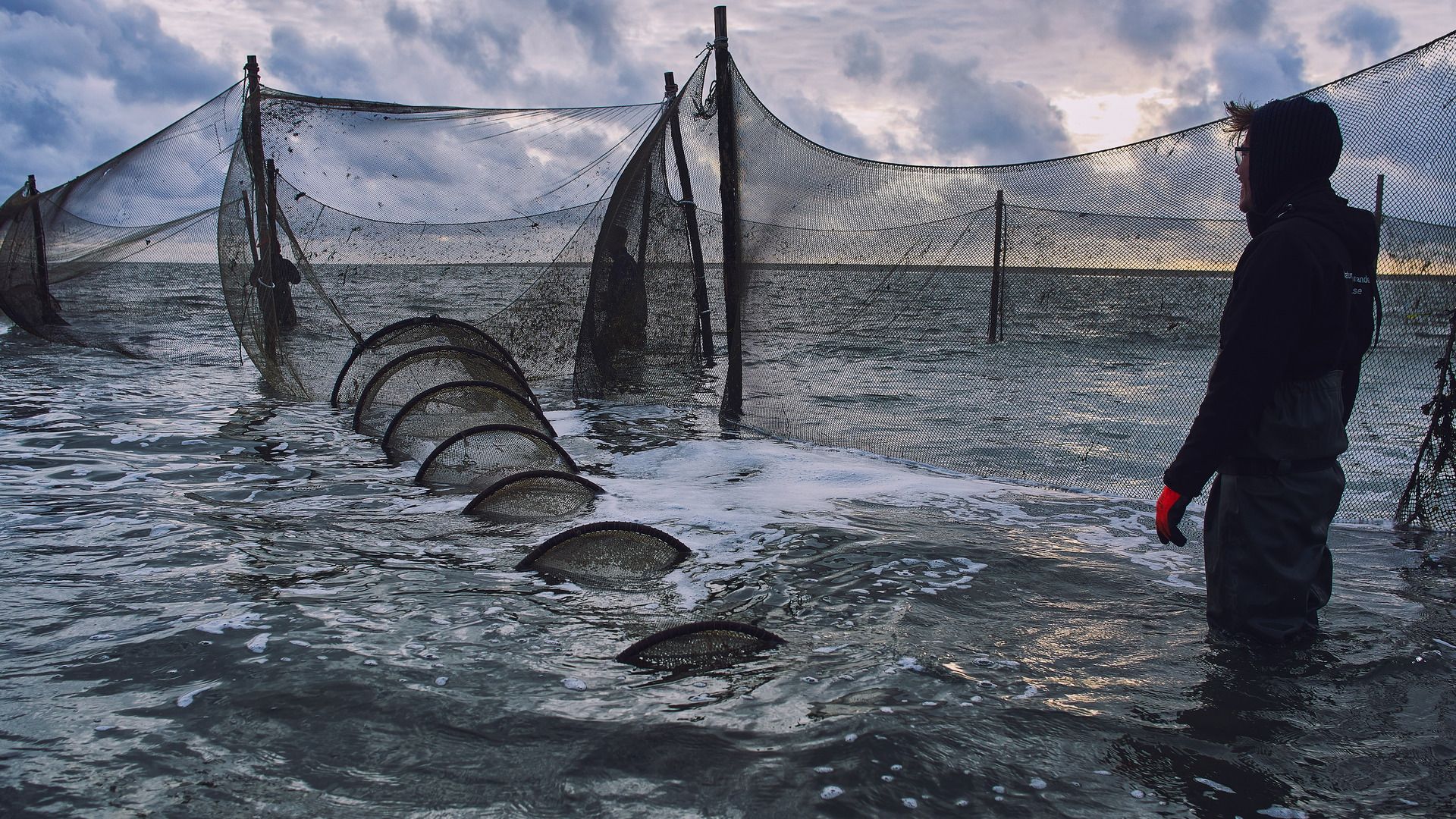 Fisken telle op eastlik Waad om byld te krijen fan ûnderwetternatuer