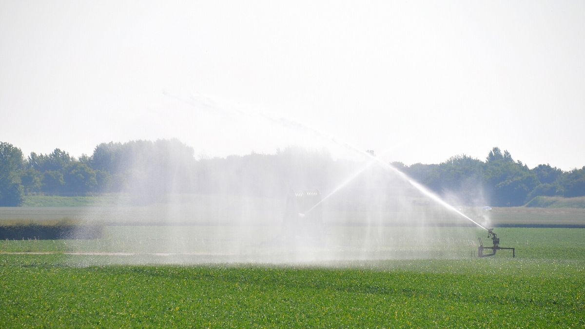 Dit is waarom boeren hun akkers toch beregenen ondanks het natte weer van afgelopen maanden