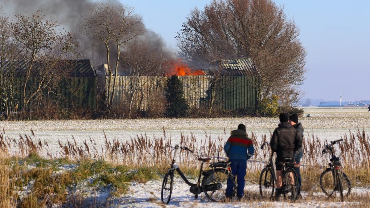 Veel schade in loods Tzummarum na grote brand