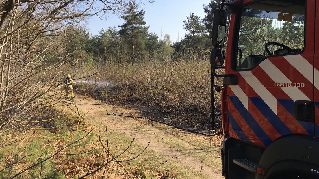 In het bosgebied bij het Rozendaal is zondagmiddag brand uitgebroken. Veel hulpdiensten gingen naar het vuur. Even na 16.30 uur was het vuur onder controle.