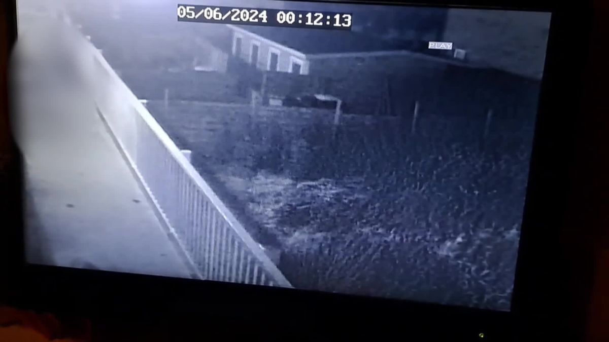Video | Buurt opent klopjacht op halfnaakte man in string