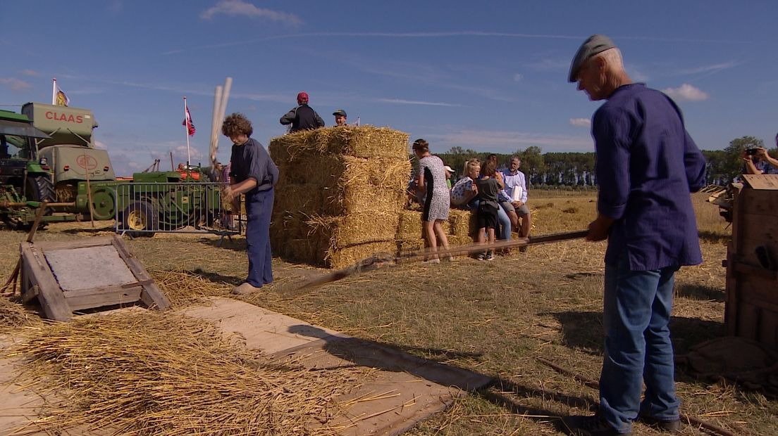 Ouderwets dorsen bij 's Gravenpolder