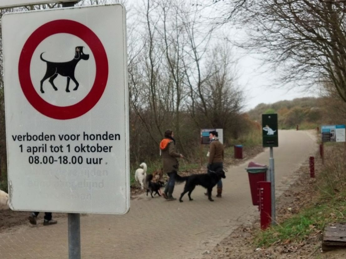 De strandopgang van de Tweede Slag bij Rockanje