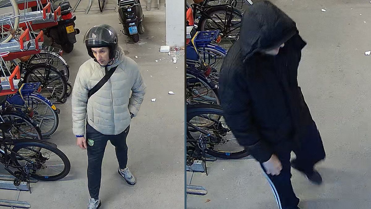 Scooterdieven slaan toe in Transwijk