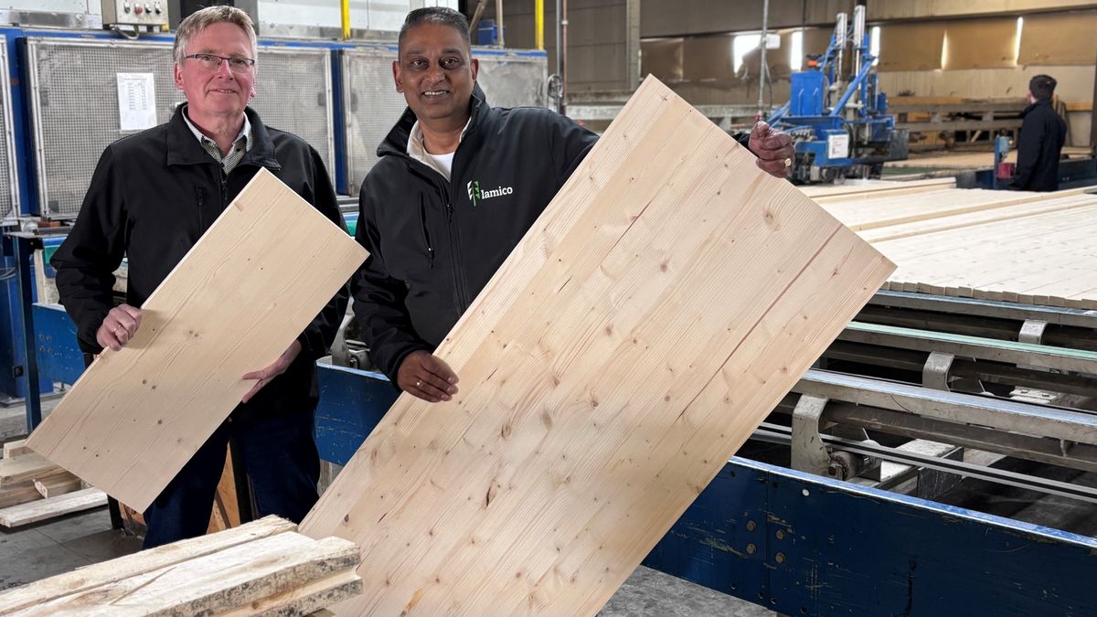 Made in Grunn: hoe een fabriek in Winschoten Europa van houten panelen voorziet