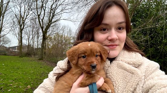 Na fataal ongeluk oma durft Jaimy dankzij deze pup weer naar buiten. Na fataal ongeluk oma durft Jaimy dankzij deze pup weer naar buiten.