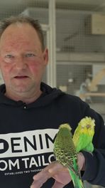 Gert heeft honderd parkieten