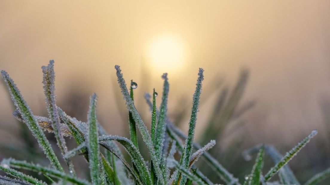 Rijp, mist en een waterig zonnetje