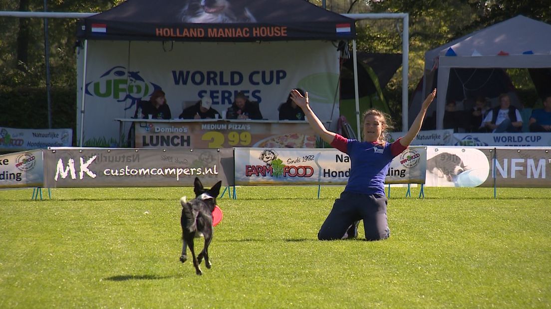 Frisbeeën met je hond: het is leuk tijdverdrijf, maar ook een serieuze sport. In Apeldoorn vindt dit weekend het EK dog frisbee plaats. Bijna honderd baasjes en viervoeters uit heel Europa gaan de strijd met elkaar aan.