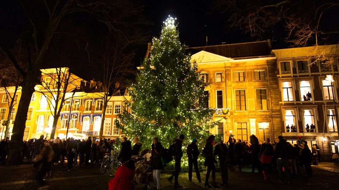 Kerstboom Lange Voorhout