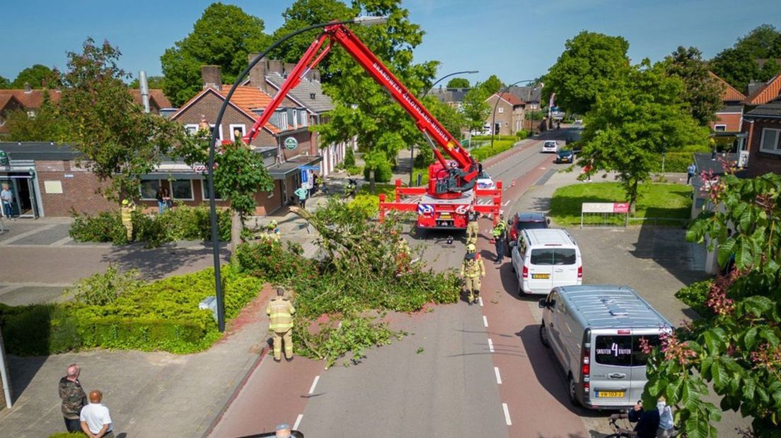 Er kwam een deel van de boom naar beneden in Zevenaar.