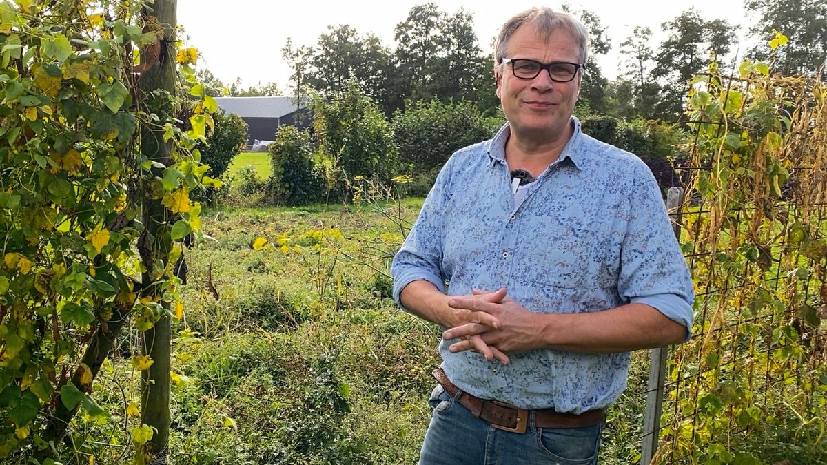 Bonenkweker Henk Zuidema uit Jistrum zoekt naar duurzame vleesvervangers