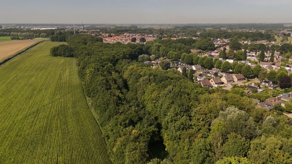 Oude linie, nieuwe missie: Hulst wil Liniedijk in ere herstellen