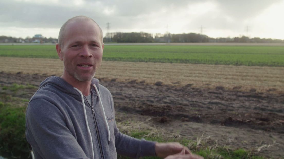 Deze bollenkweker pleit voor behoud van de bollengronden in de gemeente Teylingen