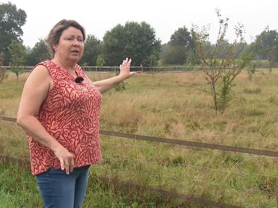 Michael en Petra uit Peize vangen bot met verzet tegen 'perenboompjesverbod'