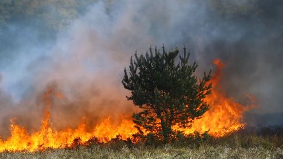 Foto: 'Fase 2 van kracht': extra waakzaamheid voor natuurbrand