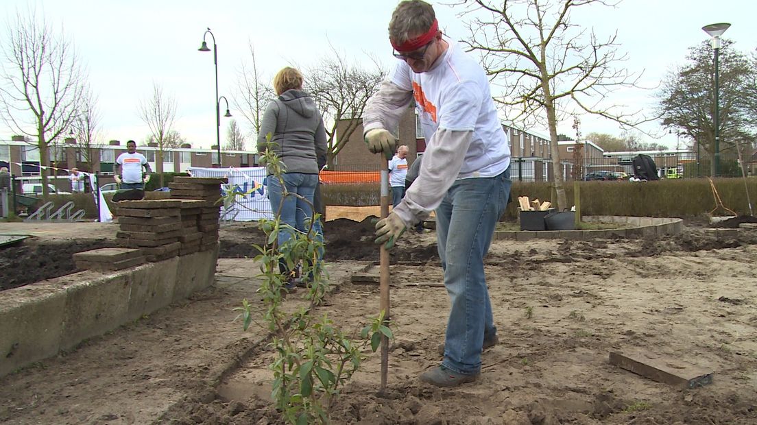 Je oude vaas ruilen voor een vers bloemetje (video)