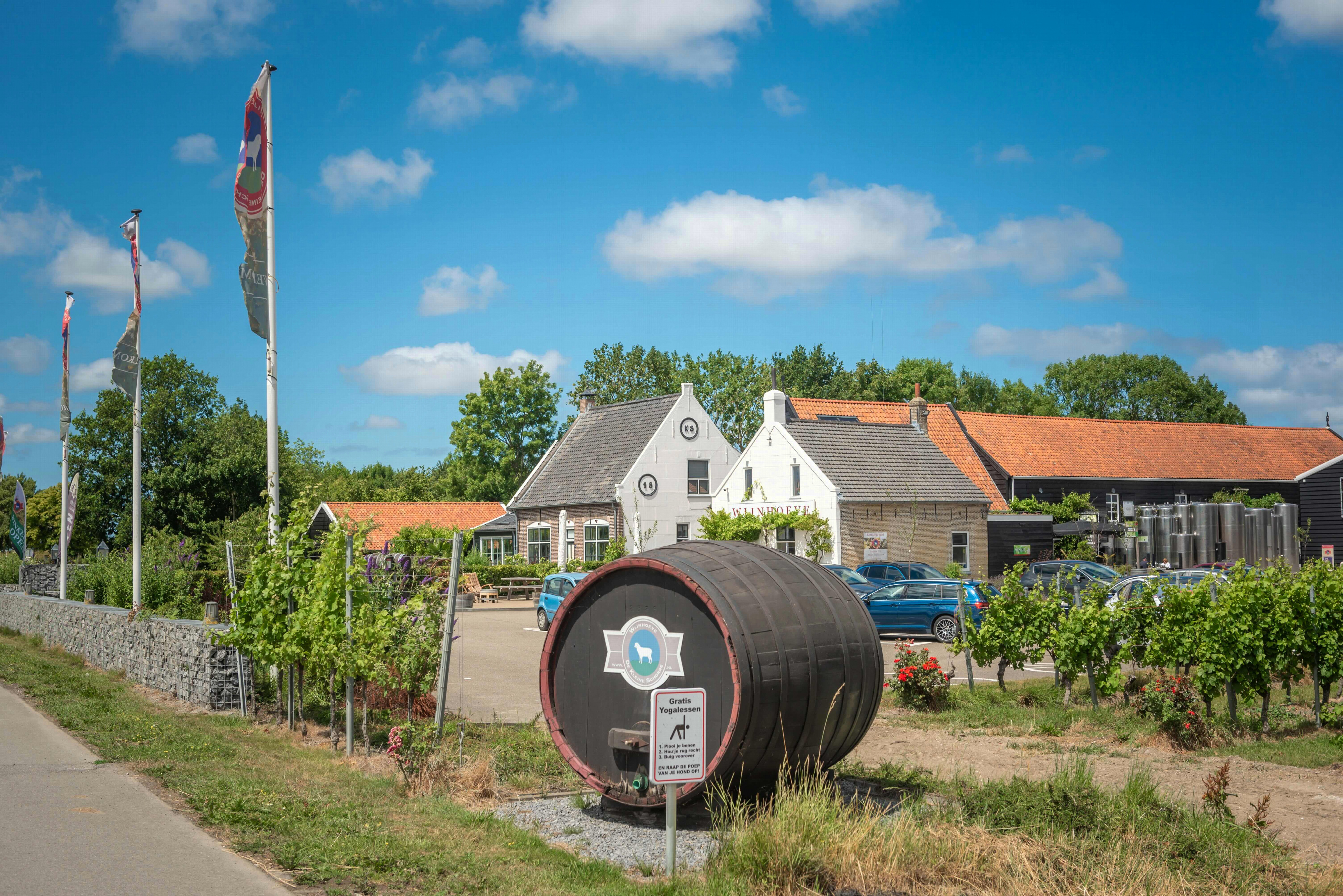 25 jaar geleden besloten ze hier een wijnboerderij te starten: 'Een Nederlandse wijn moet zich eerst bewijzen'