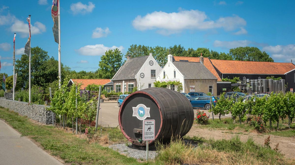 25 jaar geleden besloten ze hier een wijnboerderij te starten: 'Een Nederlandse wijn moet zich eerst