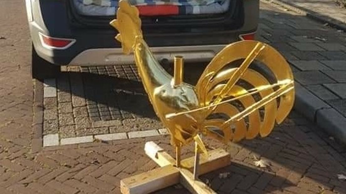 De haan wordt vandaag teruggeplaatst
