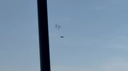 Vogel tikt drone uit de lucht op TT Circuit