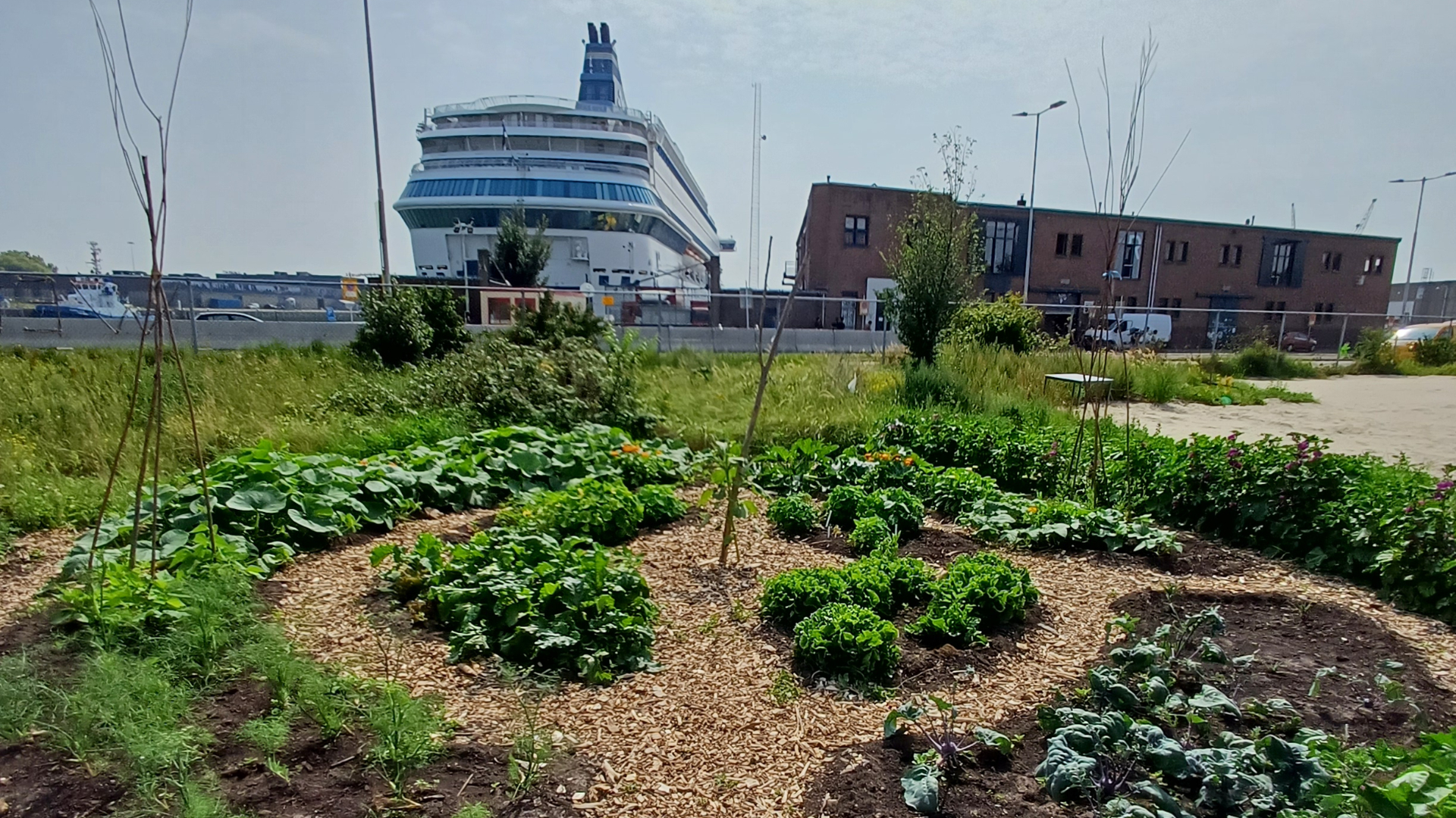 De Silja in de Merwehaven.