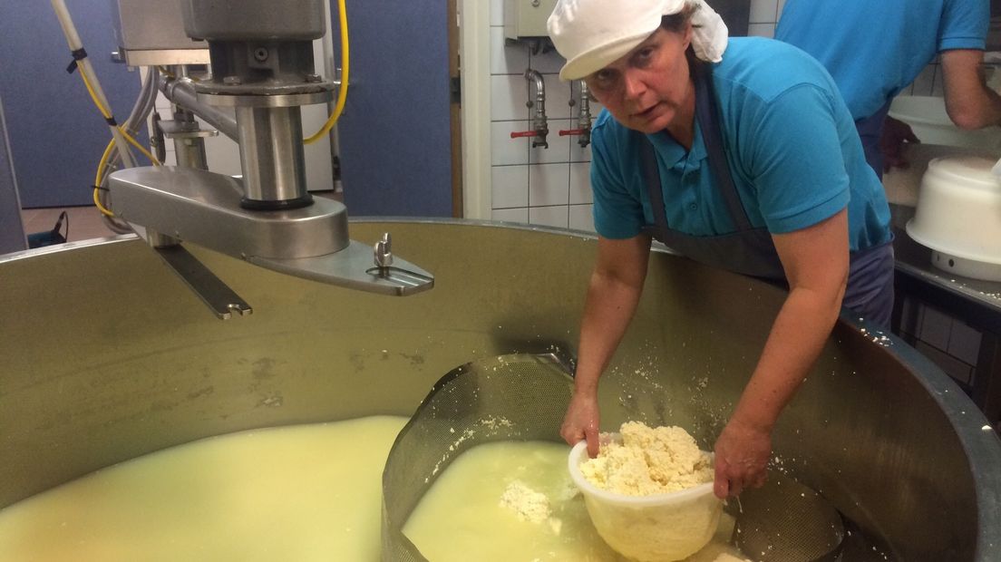Lenny Nieuwenhuijse maakt nieuwe kaas om de voorraad weer aan te vullen
