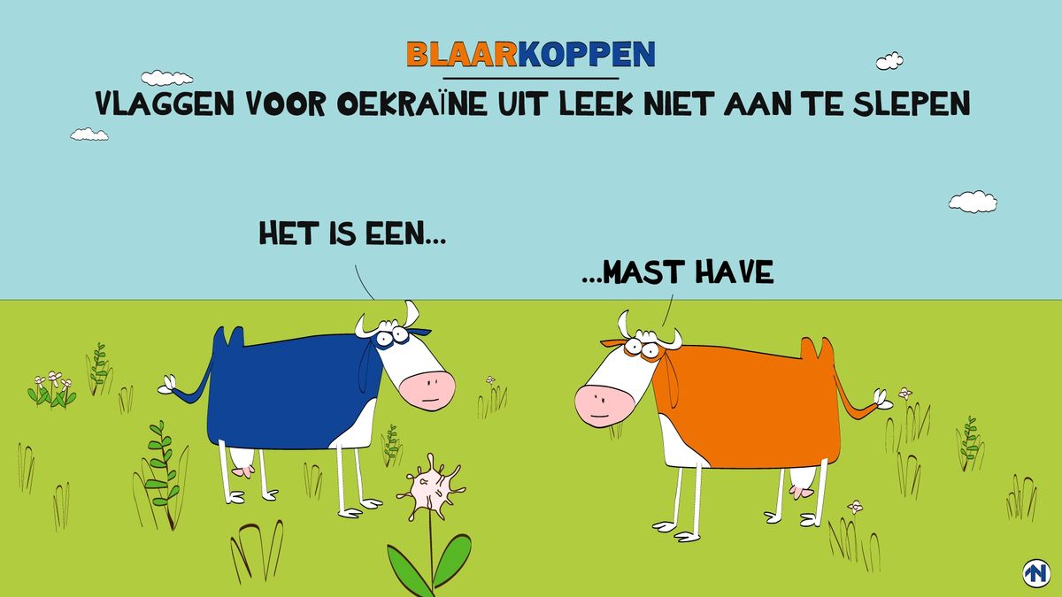 Blaarkoppen hebben hem hoog in het vaandel - RTV Noord