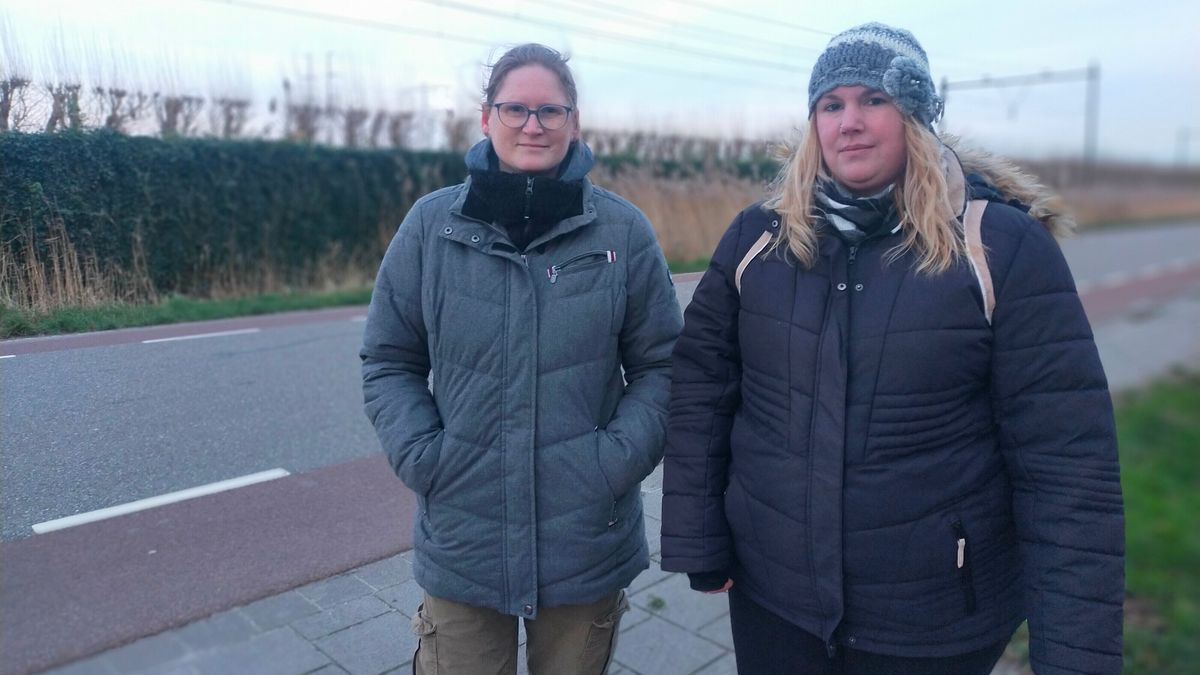 Fluittoon maakt Krabbendijkenaren knettergek: 'Ik kan er niet van slapen'