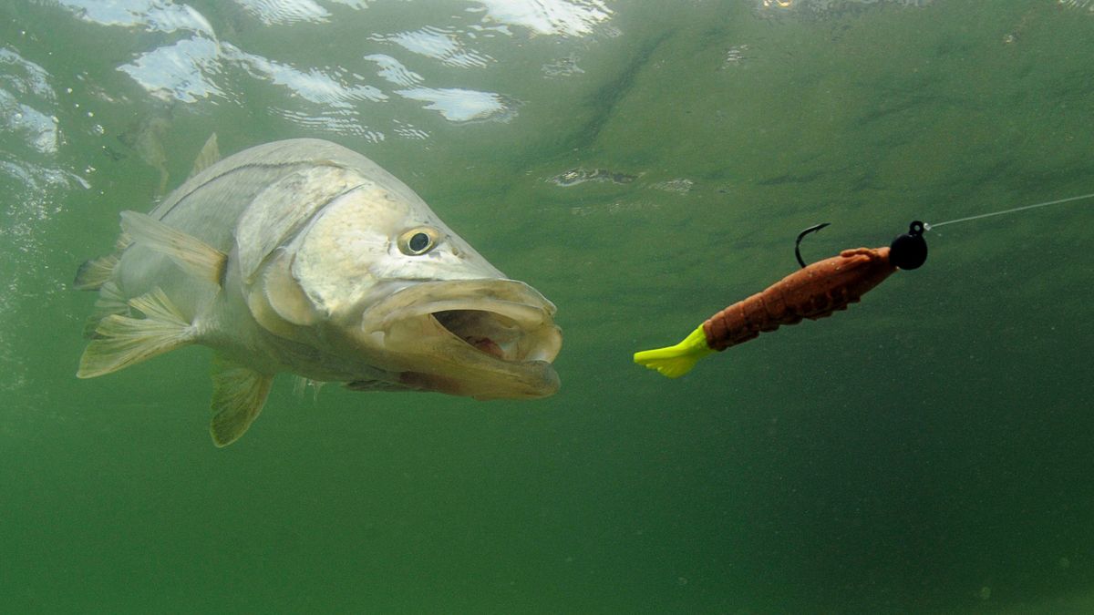 Vissluis bij Grubbenvorst is eerste in Limburg