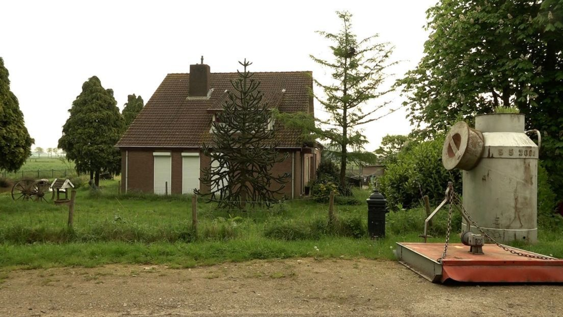 Huis dierenverhuurder Bert gedwongen geveild: hoe kwam het zover?