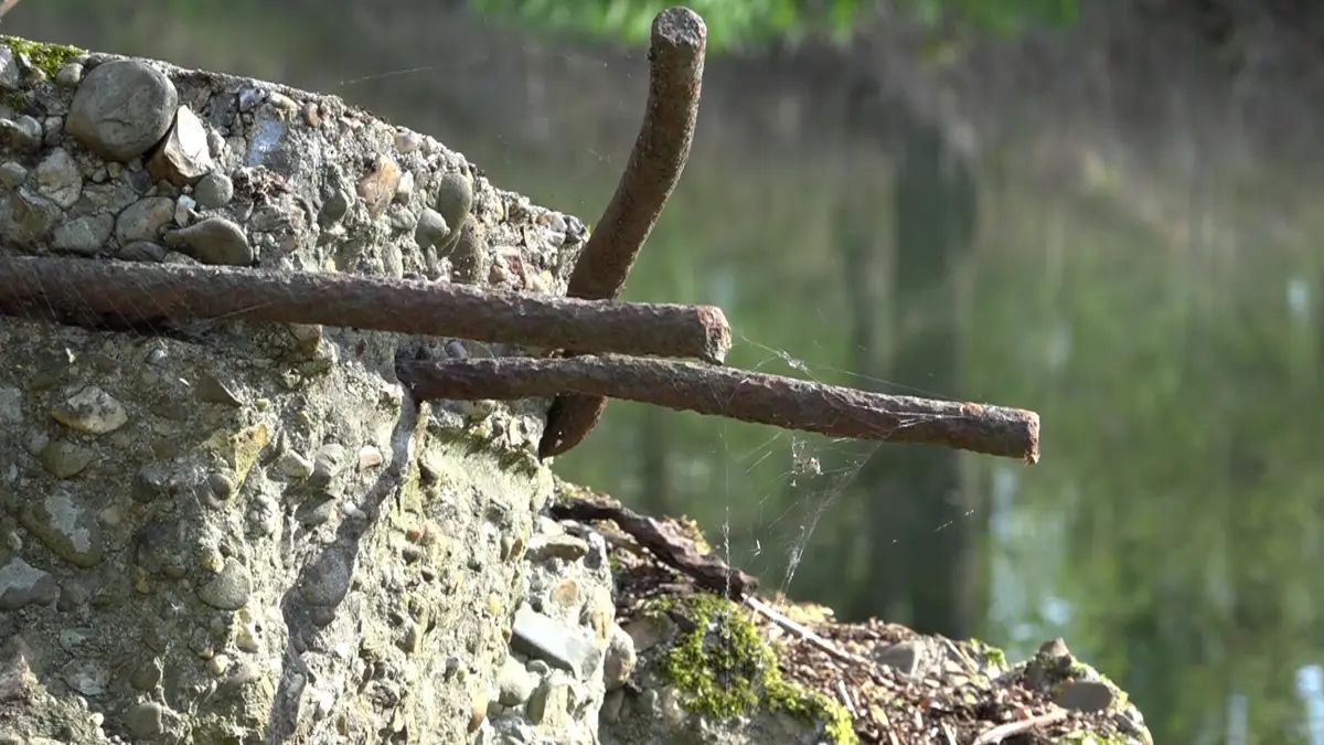 Onopvallend stukje beton leidt tot ontdekking van verborgen bunker