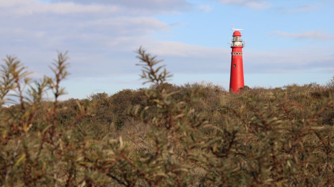 De rode, nog functionerende, vuurtoren van Schiermonnikoog